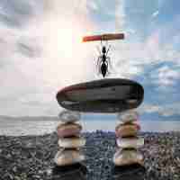 怎﻿么﻿自‌动‌发‍布‌